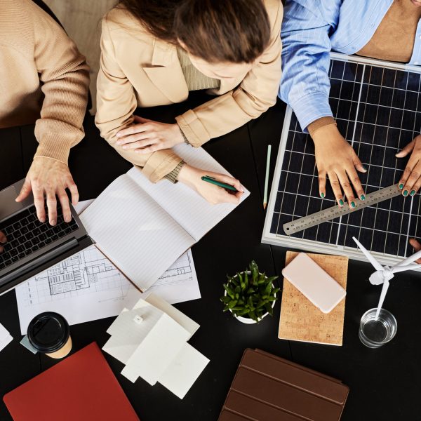Colleagues working